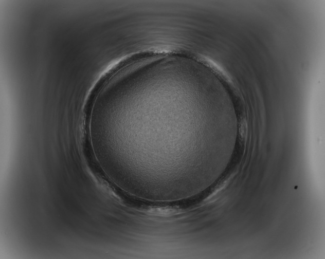 X0000085270540200703301856