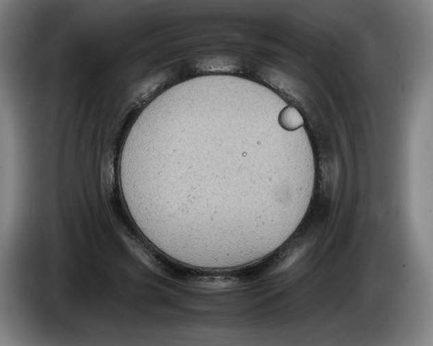 X0000085270541200703301856