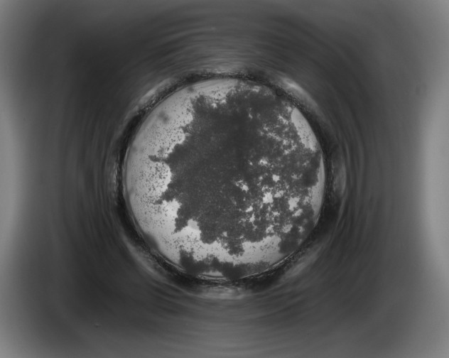 X0000085270542200703301856