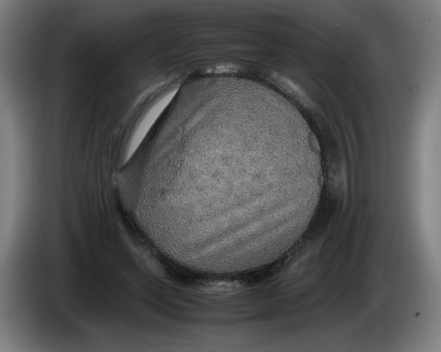 X0000085270543200703301856