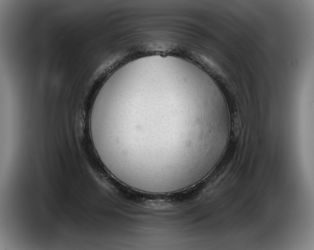 X0000085270544200703301856