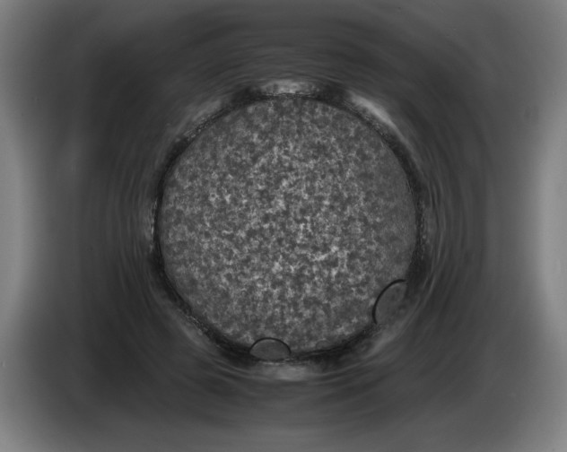 X0000085270545200703301856