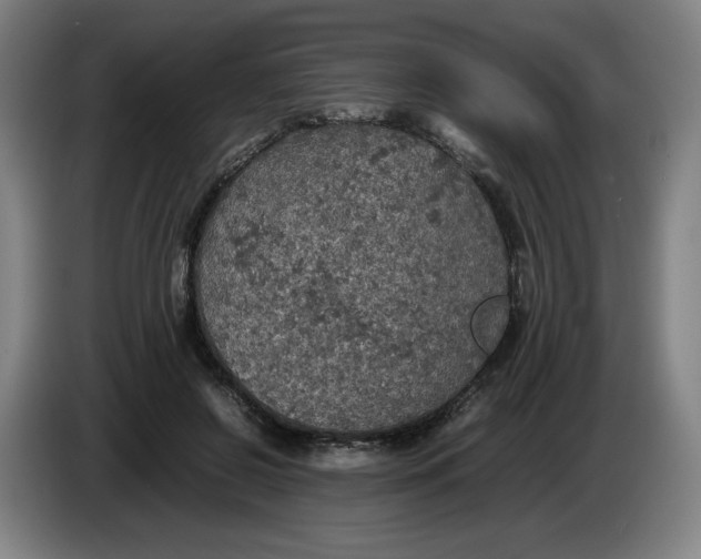 X0000085270550200703301856