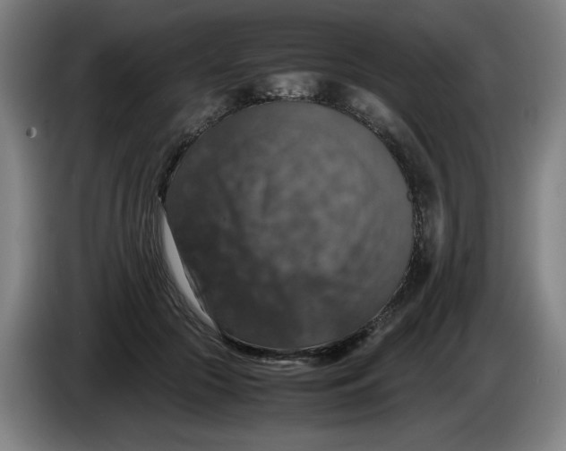 X0000085270553200703301856