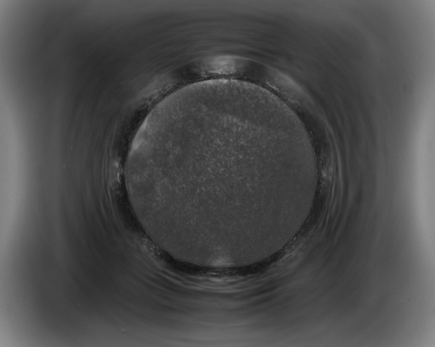 X0000085270555200703301856