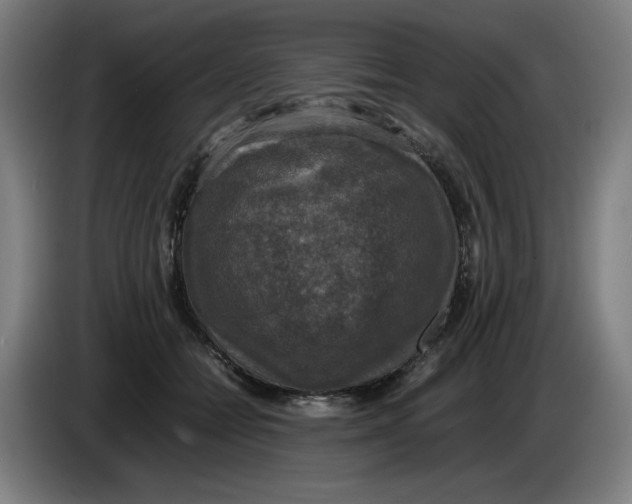 X0000085270558200703301856