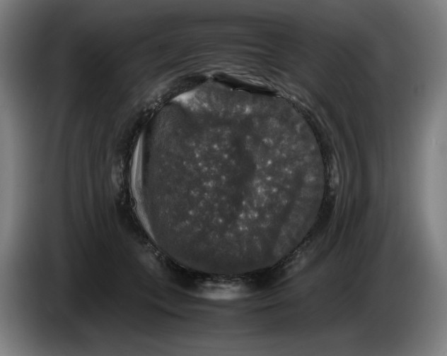 X0000085270559200703301856