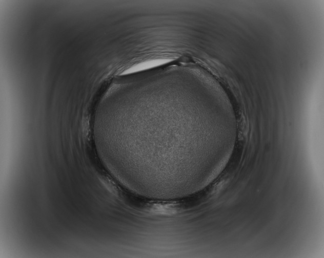 X0000085270560200703301857