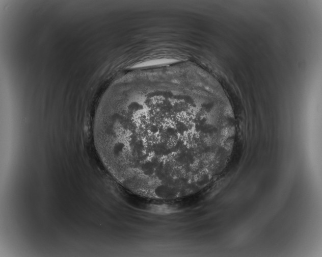 X0000085270561200703301857