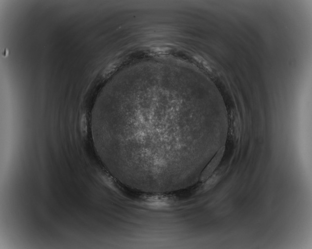 X0000085270562200703301857