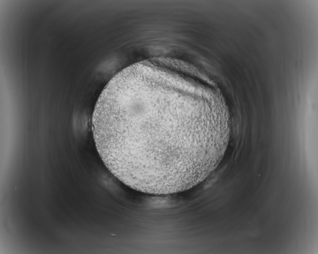 X0000085270574200703301857