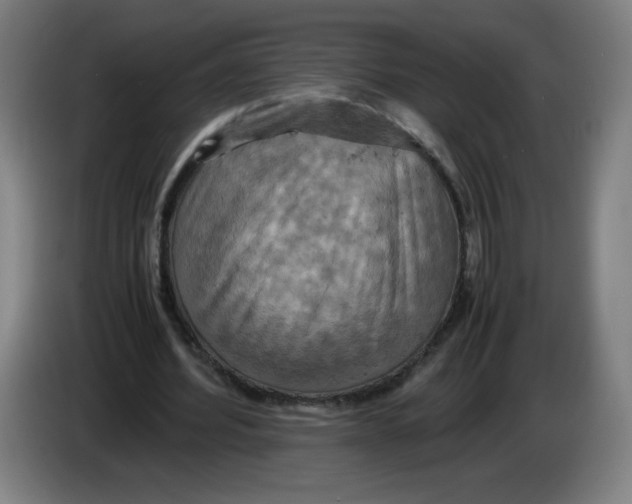 X0000085270580200703301856