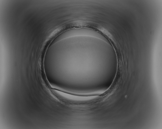 X0000085270581200703301856