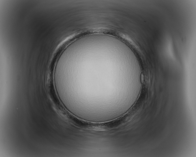 X0000085270583200703301856