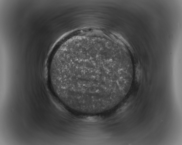 X0000085270584200703301856