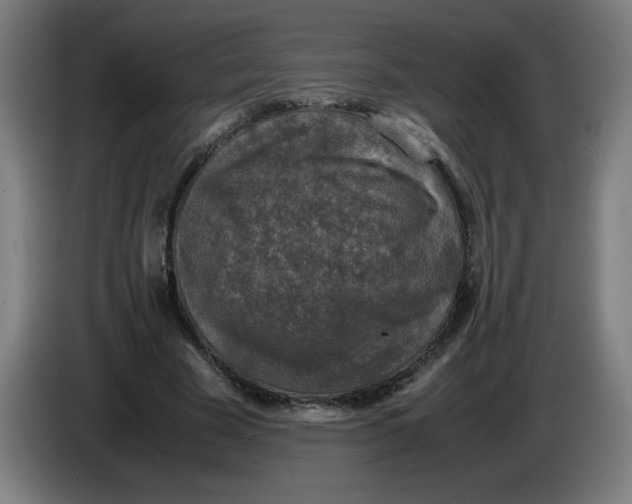 X0000085270585200703301856