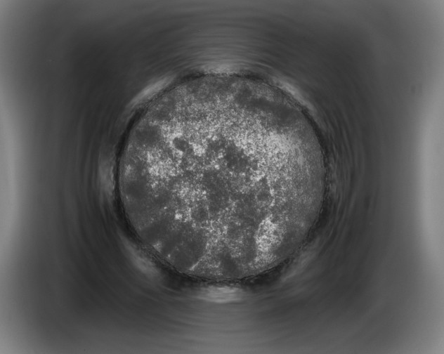 X0000085270586200703301856