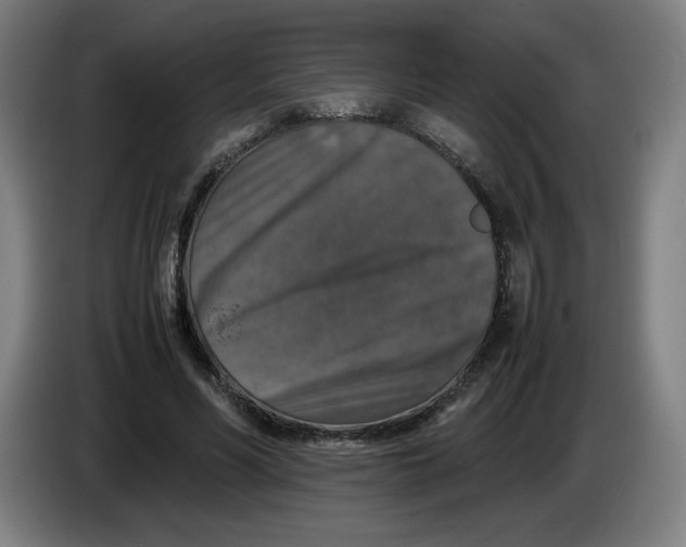 X0000085270590200703301856