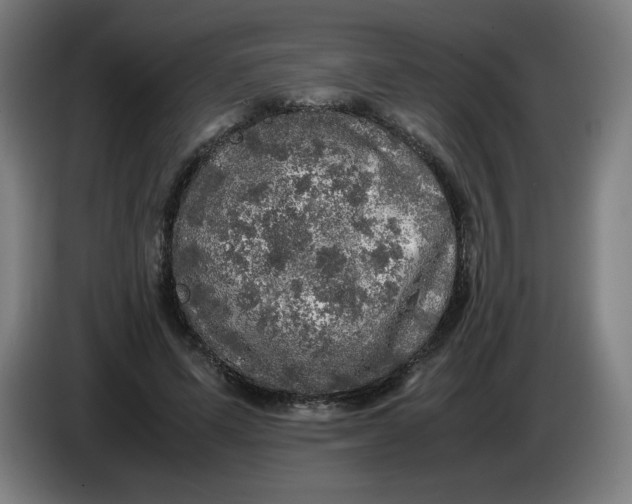 X0000085270591200703301856