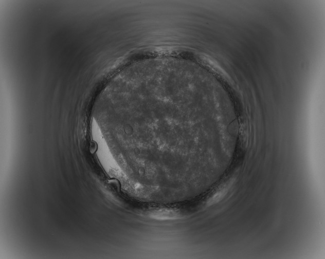 X0000085270593200703301856