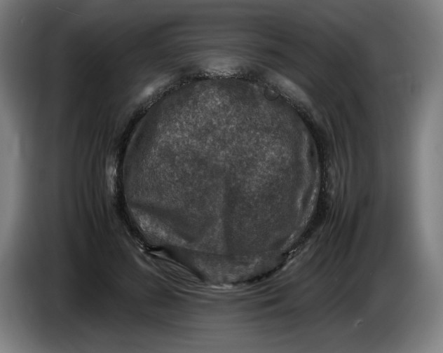 X0000085270596200703301856