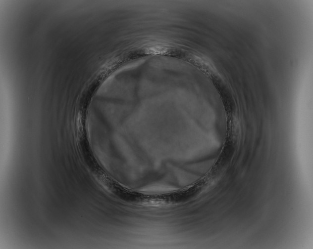 X0000085270598200703301856