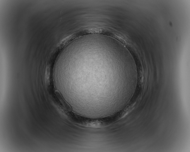 X0000085270600200703301856