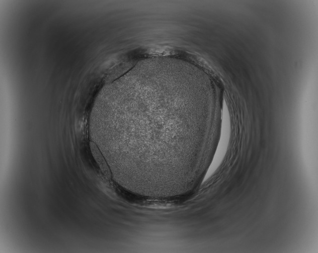 X0000085270601200703301856