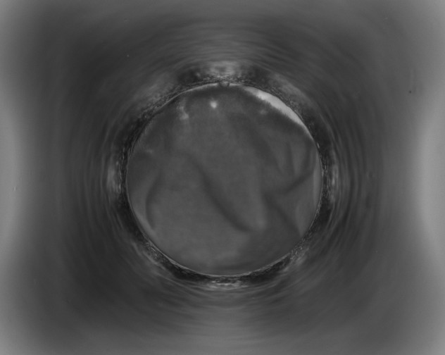 X0000085270606200703301856