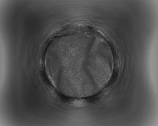 X0000085270609200703301856