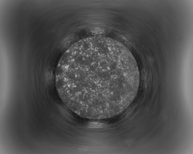 X0000085270614200703301856