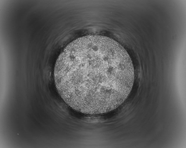 X0000085270615200703301856