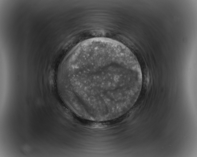 X0000085270616200703301856