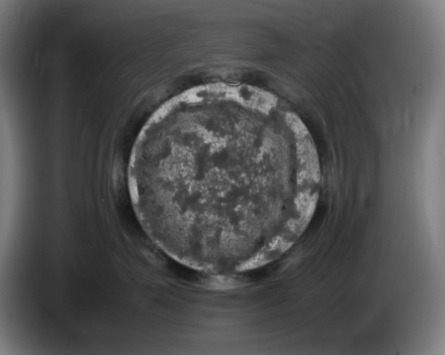 X0000085270623200703301855