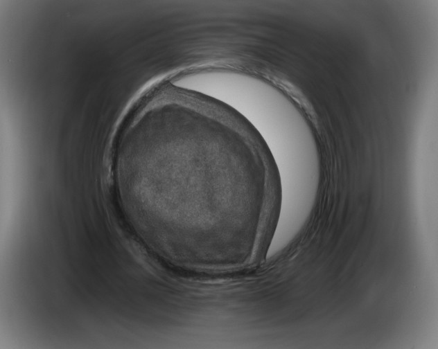 X0000085270628200703301855