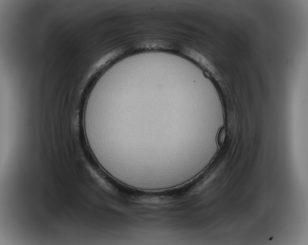 X0000085270629200703301855