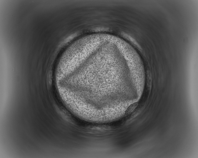 X0000085270631200703301855