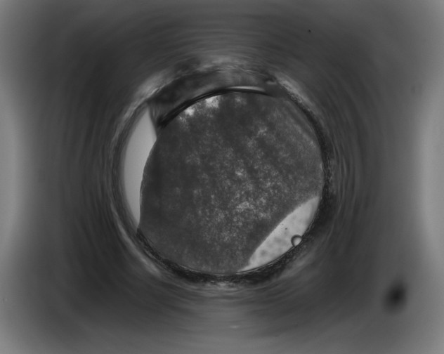 X0000085270634200703301855