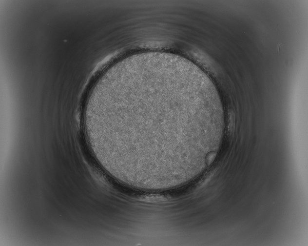 X0000085270636200703301855