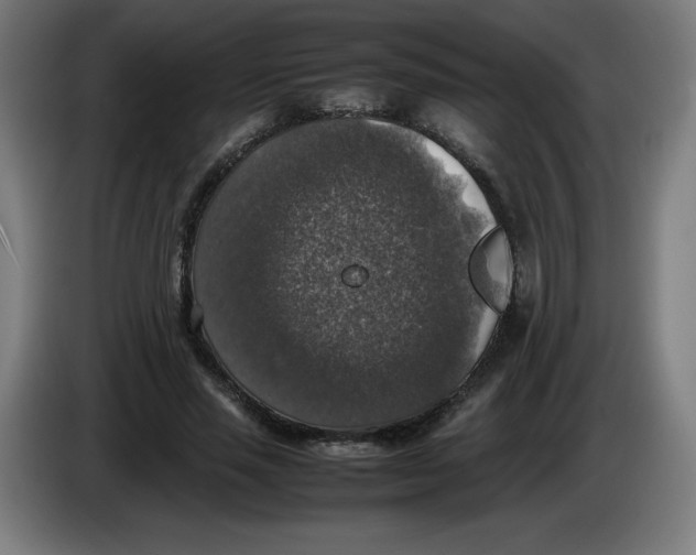 X0000085270637200703301855