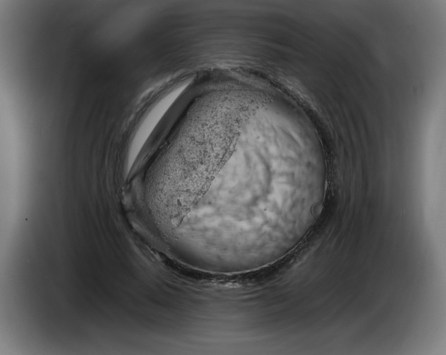 X0000085270640200703301855