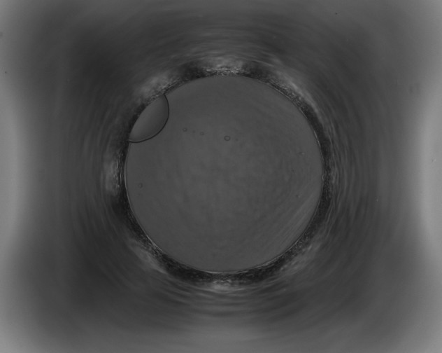 X0000085270641200703301855