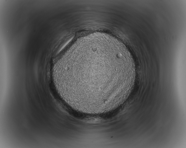 X0000085270642200703301855