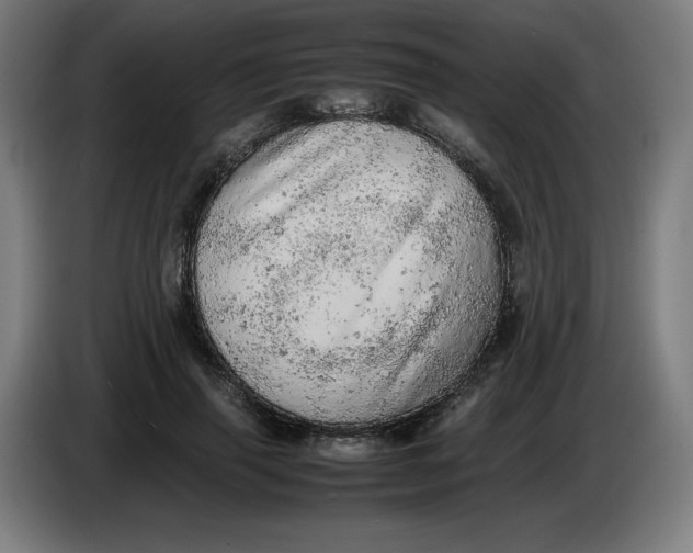 X0000085270645200703301855