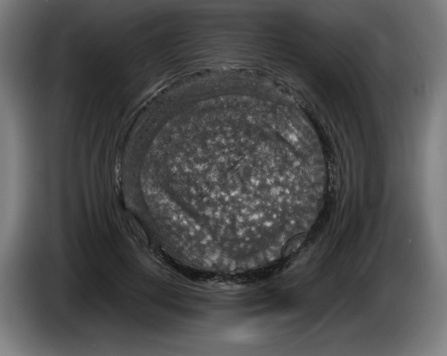 X0000085270648200703301855