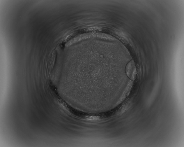 X0000085270649200703301855