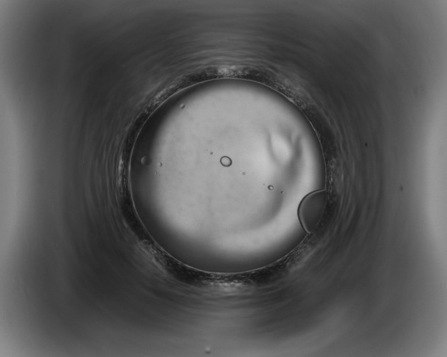 X0000085270650200703301855