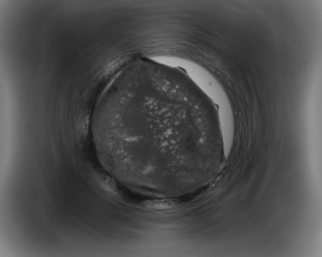 X0000085270652200703301855