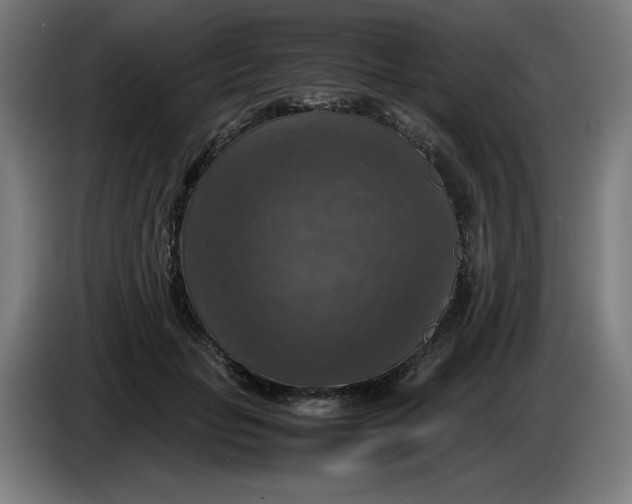 X0000085270653200703301855