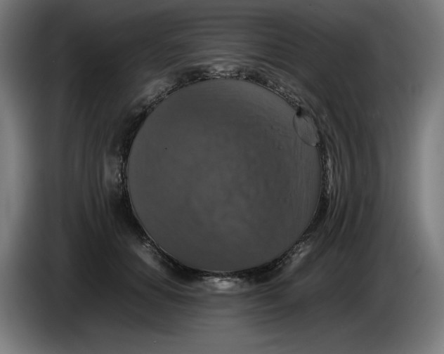 X0000085270654200703301855